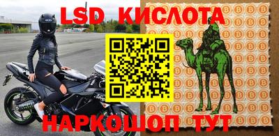 альфа пвп Берёзовский