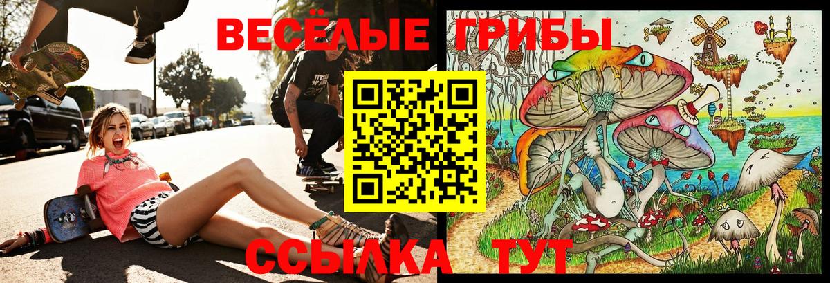 Зеленокумск  Псилоцибиновые грибы ЛСД  Псилоцибиновые грибы прущие грибы  Вход с VPN 